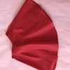 Gonnellina bimba rossa - immagine 3